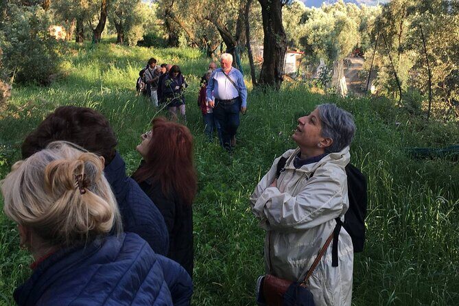 Reggio Calabria Museum and City Guide . Direct Moses - FAQ