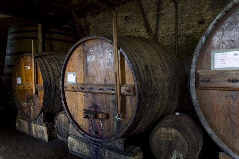 Régua: Wine Tasting at a Farm, Traditional Lunch, Cruise and Train - An In-Depth Look at the Tour