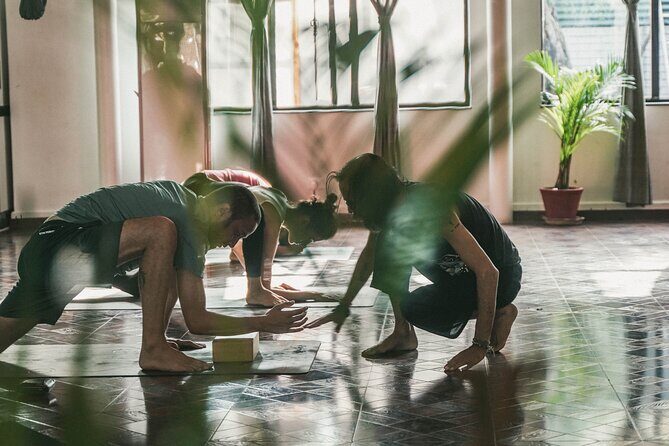 Regular Yoga for all levels of practitioners in Kathmandu - An In-Depth Look at the Yoga Experience in Kathmandu