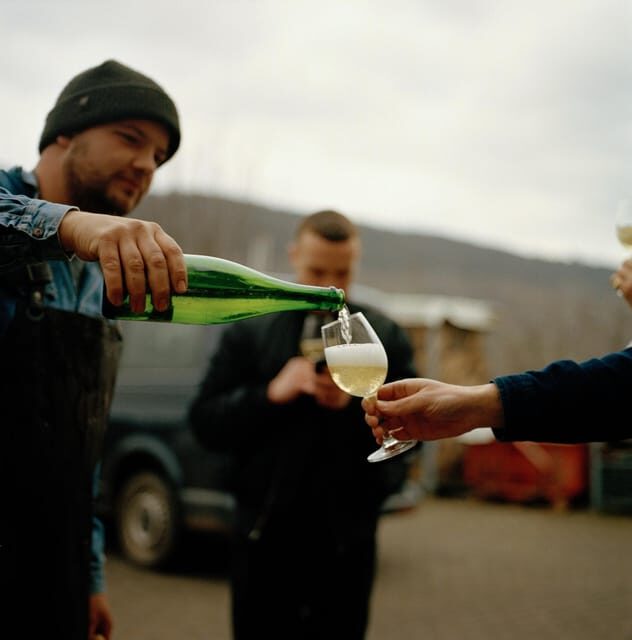 Reil, Mosel: Guided organic wine tasting and cellar tour - Why Choose This Tour?