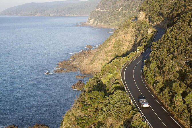 Reimagined Great Ocean Road 1-Day Tour from Melbourne - Final Thoughts