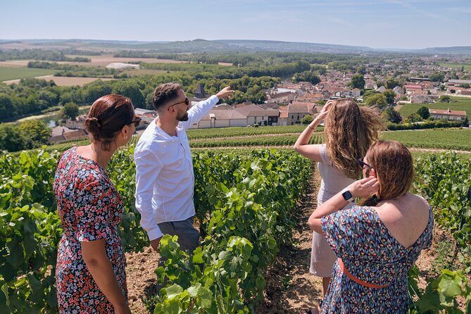 Reims or Epernay: Full day Veuve Clicquot family grower & lunch - Key Points