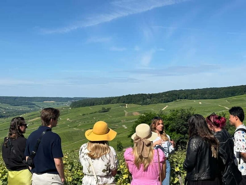 Reims or Epernay: Short day family growers & lunch - Who Should Book This Tour?
