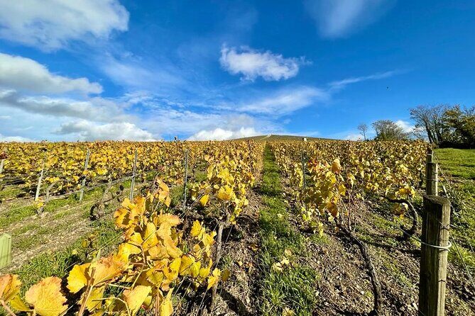 Reims: Small-Group Champagne Tour with Champagne Tastings and Lunch - Who is This Tour Best For?