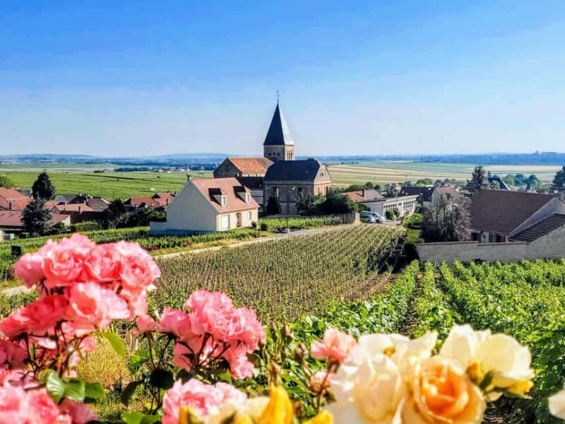 Reims: Veuve Clicquot Tasting Private Tour in Champagne - The Sum Up