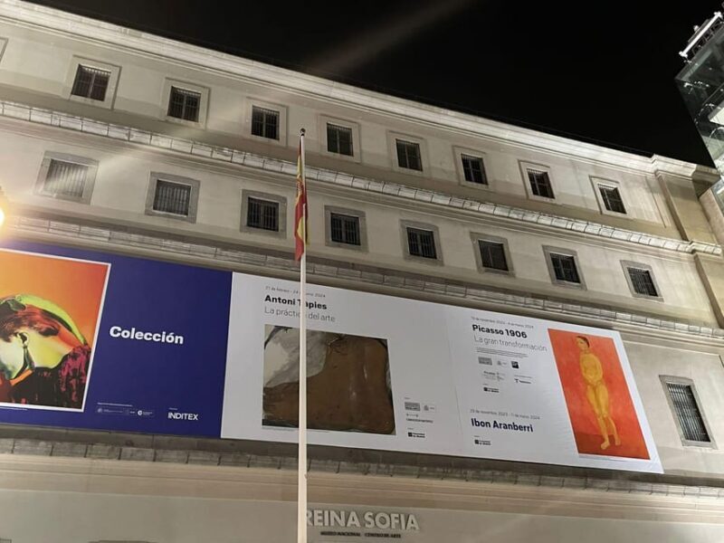 Reina Sofía Museum guided tour with ticket and skip the line - Why the Value of This Tour is High