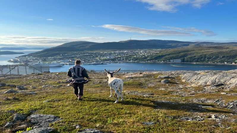 Reindeer and Stories: A Sami Cultural Adventure - Key Points