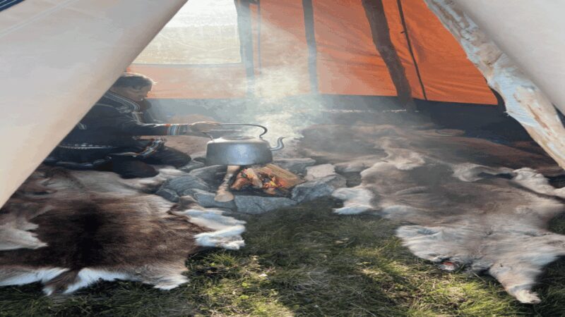 Reindeer and Stories: A Sami Cultural Adventure - An In-Depth Look at the Sami Cultural Adventure
