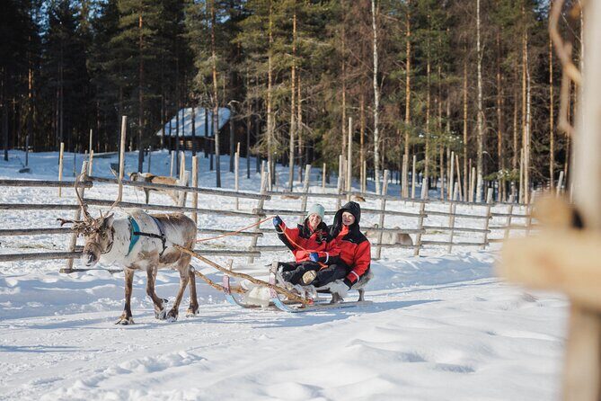 Reindeer Experience with Sledge Ride - FAQ