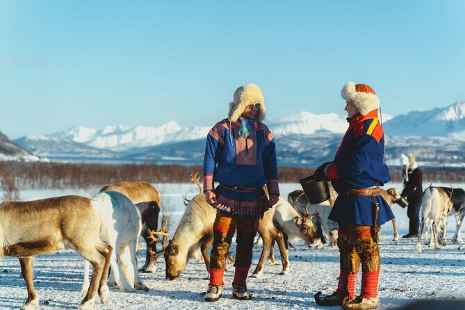 Reindeer Feeding and Sami Culture Afternoon Departure - Who Will Love This Tour?