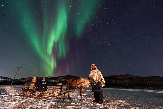 Reindeer Feeding and Sledding, Sami Storytelling Night Tour - FAQ