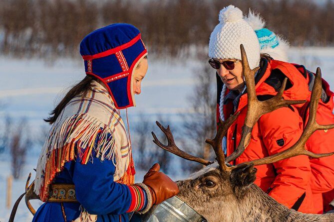 Reindeer feeding & Saami Culture - Value and Practicality