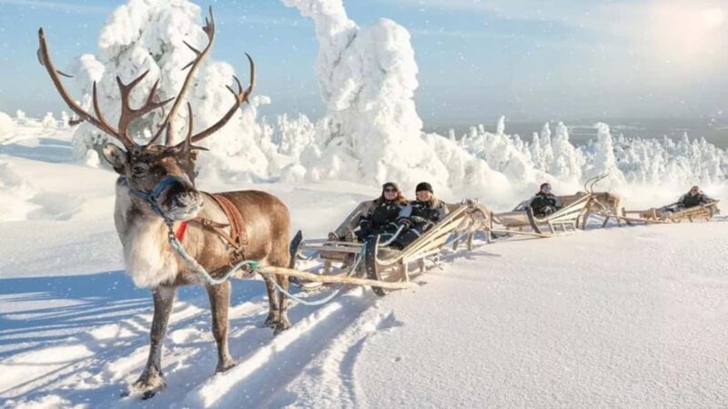 Reindeer Safari and Ice Fishing - The Authenticity and Value of the Tour