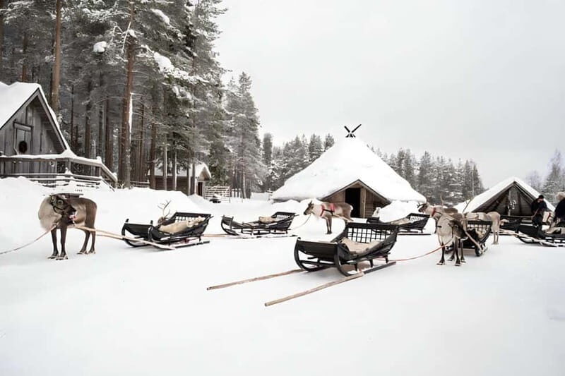 Reindeer Safari at a 200-Year-Old Farm & Long Sled Ride - FAQ