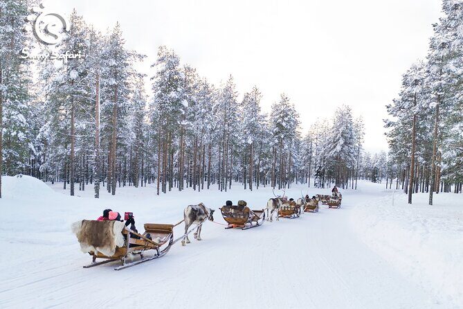 Reindeer Safari in Arctic Wilderness - FAQ