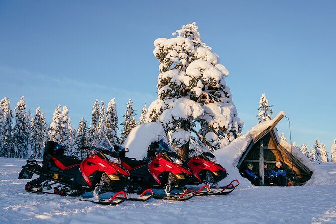 Reindeer Safari with Snowmobile and Cross The Arctic Circle Tour from Rovaniemi - Key Points