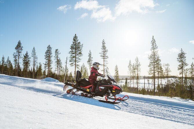 Reindeer Safari with Snowmobile and Cross The Arctic Circle Tour from Rovaniemi - A Closer Look at the Experience