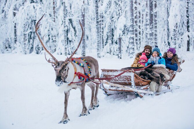 Reindeer Safari with Snowmobile and Cross The Arctic Circle Tour from Rovaniemi - Who Should Consider This Tour?