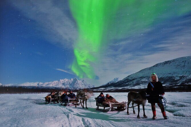 Reindeer Sledding and Feeding with Chance of Northern Lights Tromso - Key Points