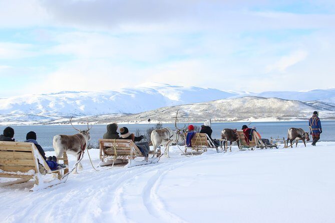 Reindeer Sledding Experience and Sami Culture Tour from Tromso - FAQ