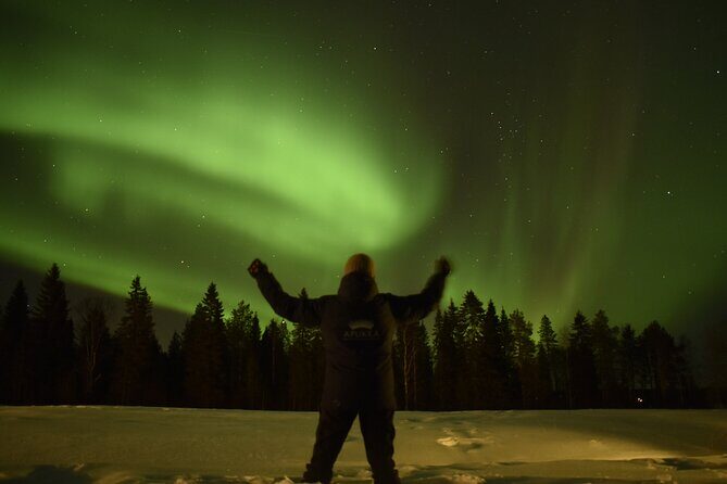 Reindeer sleigh ride across the night in Apukka Resort Rovaniemi - Real Experiences & Practical Tips from Reviewers