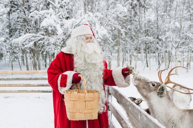 Reindeer Sleigh Ride and Farm Experience from Rovaniemi - Key Points