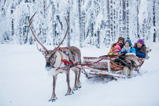 Reindeer Sleigh Ride and Farm Experience from Rovaniemi - An In-Depth Look at the Reindeer Farm and Sleigh Ride Experience