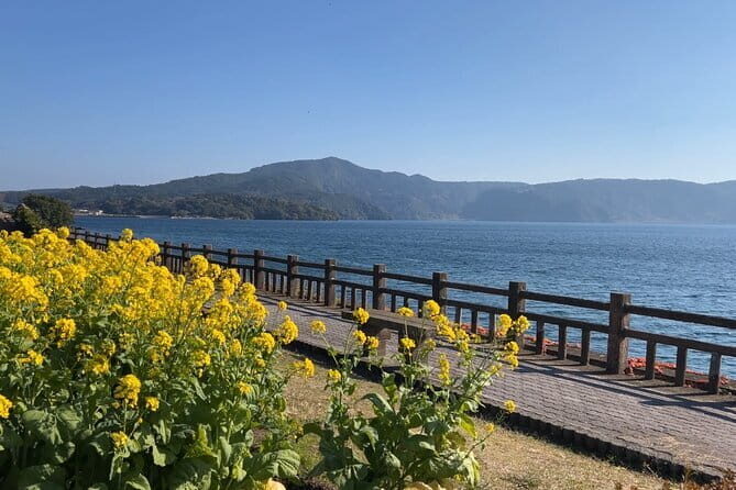Rejuvenate Your Senses:Sand Steam Bliss & Mysteries of Lake Ikeda - Final Thoughts