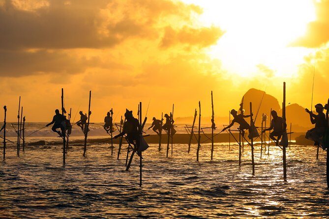 Relax and Recover in Sri Lanka (16 Days) - An In-Depth Look at What You Can Expect
