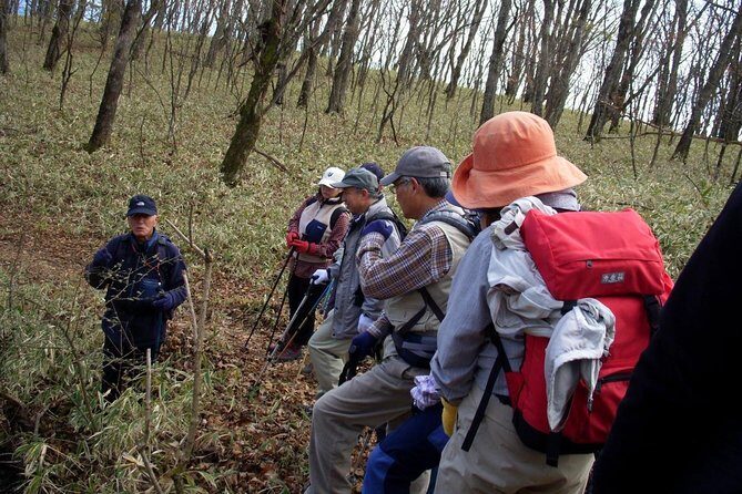 Relax and refresh in Karuizawa Forest! Shinanoji down trekking around two people - A Closer Look at the Karuizawa Shinanoji Down Trek