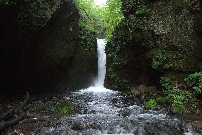 Relax and refresh in Karuizawa Forest! Shinanoji down trekking around two people - Who Should Consider This Tour?