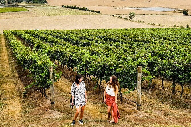 Relaxed Half Day Yarra Valley Wine Tasting Tour from Melbourne - The Itinerary: What to Expect on This Yarra Valley Adventure
