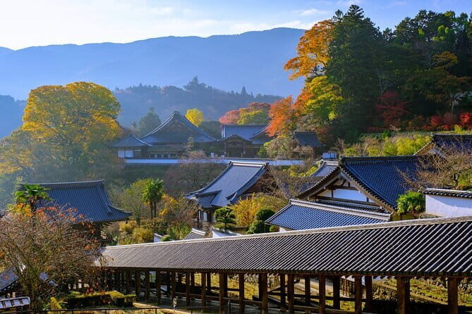Relaxed Nara Tour from Osaka: Hasedera and Muroji Temples - An In-Depth Look at the Nara Temples Tour