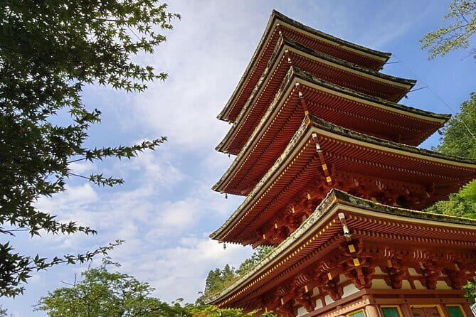 Relaxed Nara Tour from Osaka: Hasedera and Muroji Temples - Authentic Experiences and Highlights