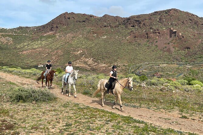 Relaxing Horse Riding Tour in Gran Canaria - An Overview of the Horse Riding Experience