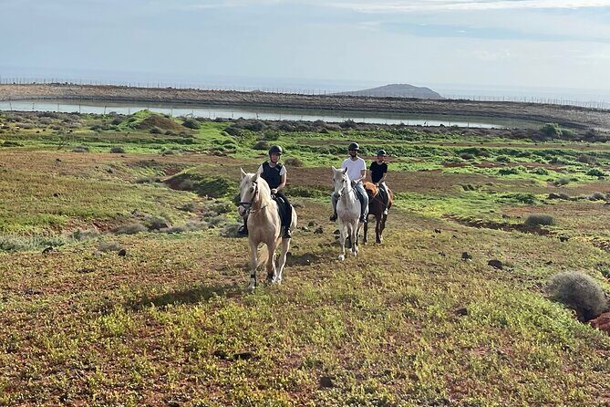 Relaxing Horse Riding Tour in Gran Canaria - The Guides and the Horses