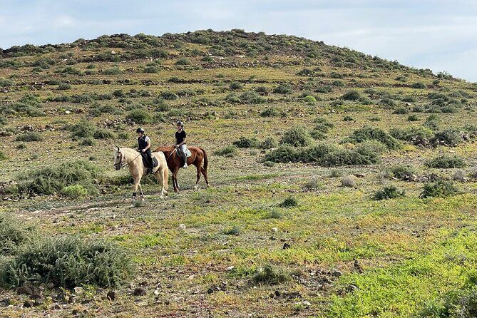 Relaxing Horse Riding Tour in Gran Canaria - Authentic Insights from Past Participants