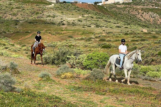 Relaxing Horse Riding Tour in Gran Canaria - The Sum Up