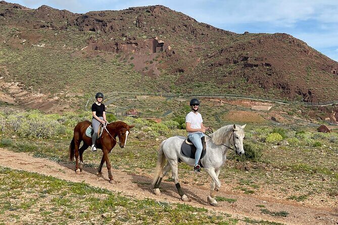 Relaxing Horse Riding Tour in Gran Canaria - FAQ