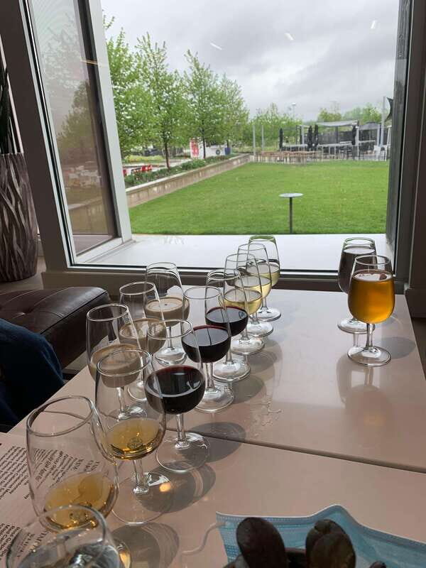 Relaxing Lunch & Wine Tour through Niagara's Wine Country - An In-Depth Look at the Tour Itinerary