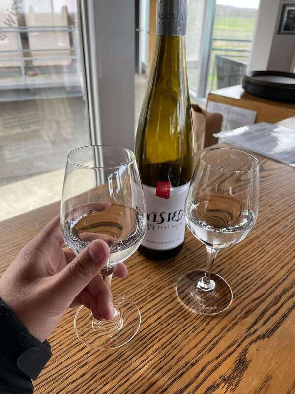 Relaxing Lunch & Wine Tour through Niagara's Wine Country - Who Will Love This Tour?