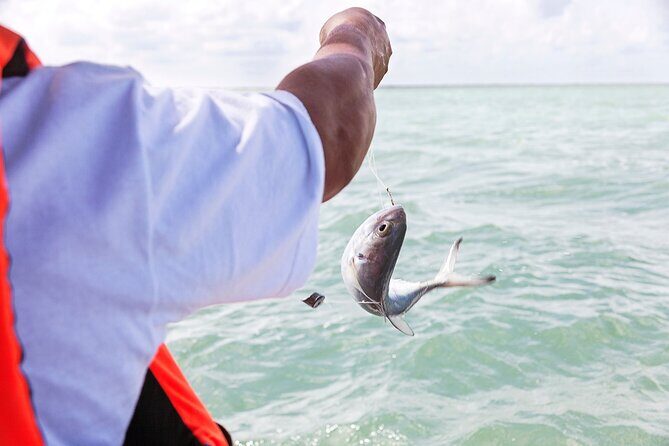 Relaxing private boat tour to Cabo Catoche with fishing - Who This Tour is Best For