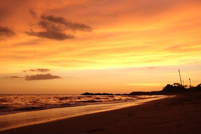 Release of Sea Turtles in Camp Tortuguero - Transportation and Practical Tips