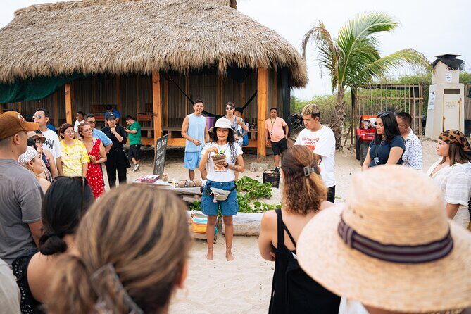 Releasing Turtles During the Sunset - Key Points