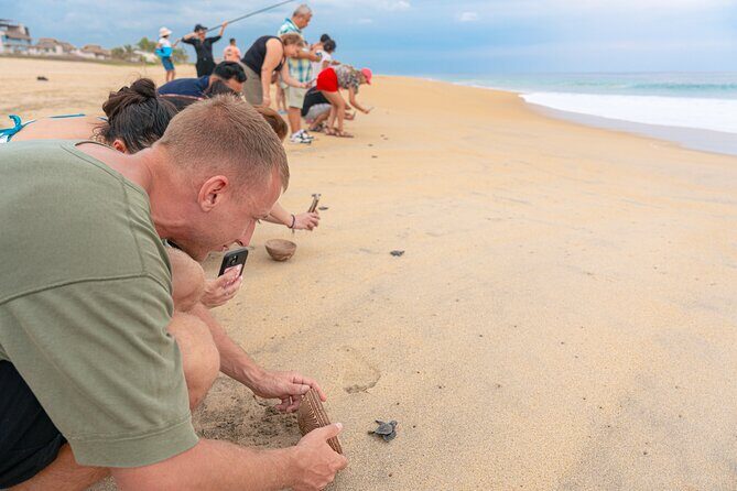 Releasing Turtles During the Sunset - Final Thoughts: Who Should Consider This Tour?