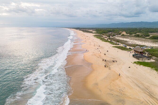 Releasing Turtles During the Sunset - Frequently Asked Questions