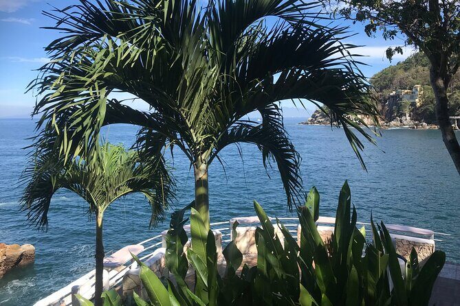 Remote Hidden Beaches Hike of South Shore (Puerto Vallarta) - Who Is This Tour Perfect For?