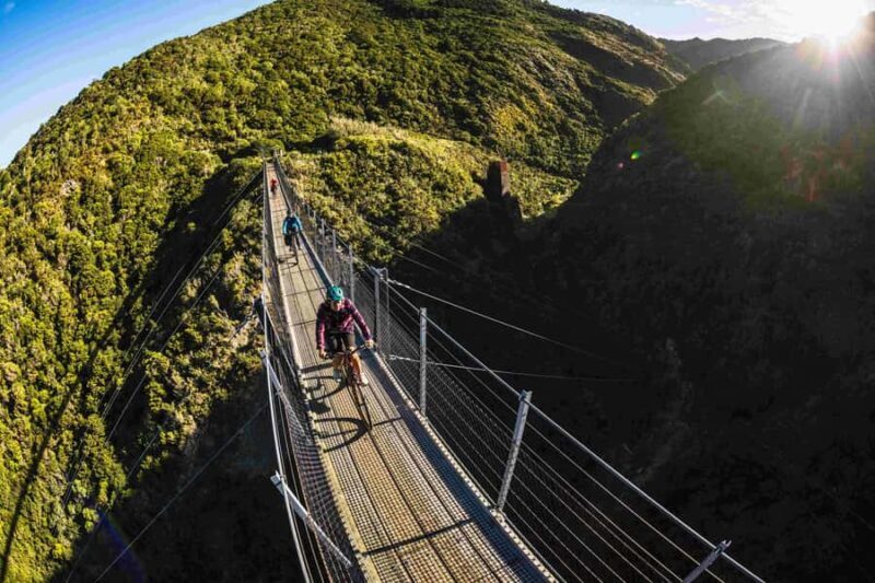 Remutaka Rail Trail eBike Shore Excursion for Cruise Ships - FAQ