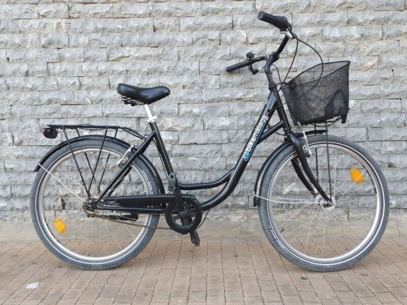 Rent a bike in Malaga - Who Should Book This Experience?