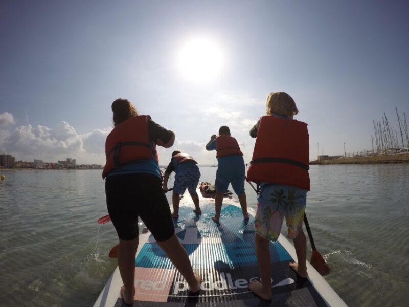 Rent a Giant Stand Up Paddle XXL for groups - Key Points